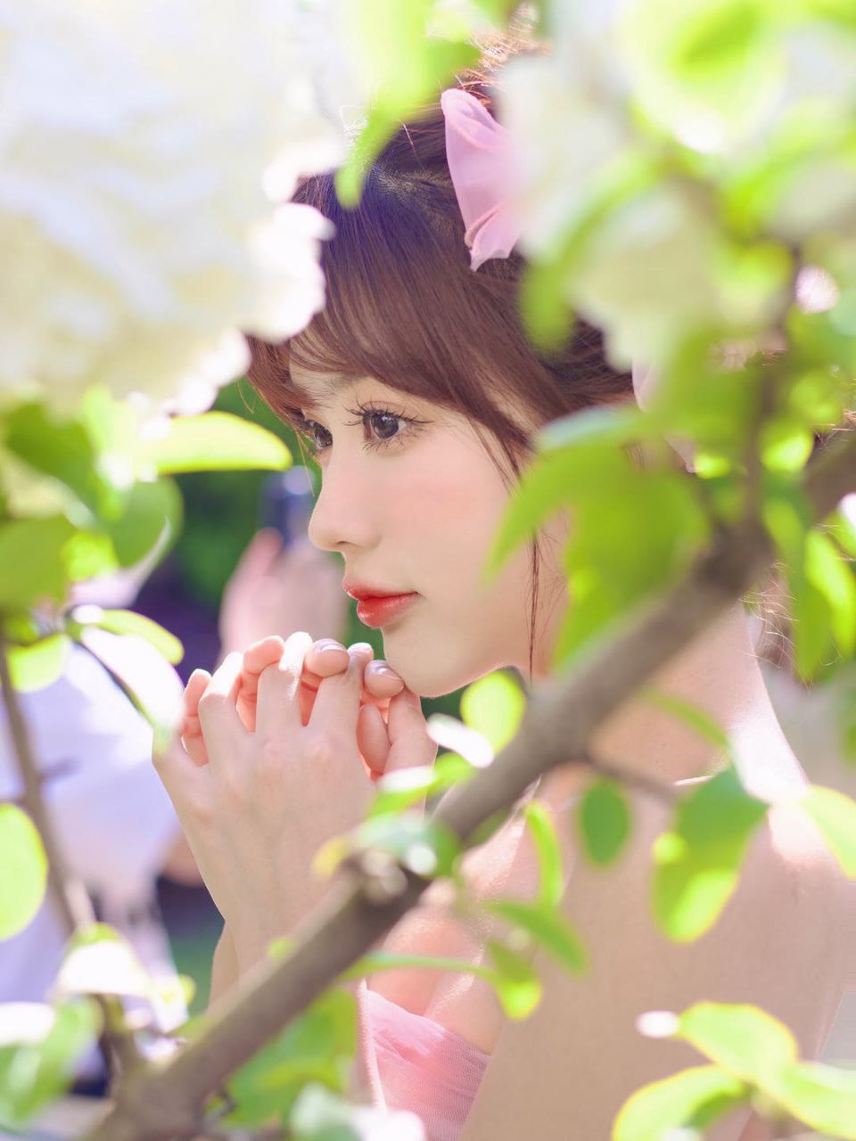 红杏导航